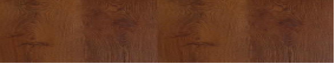 EARTH specification details